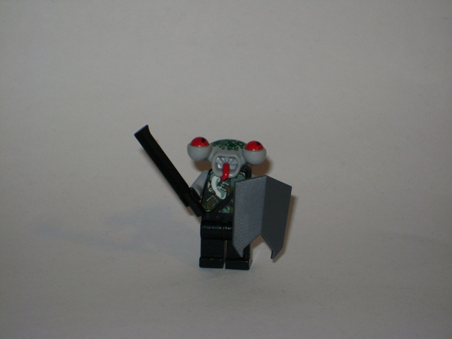 picture_393.jpg