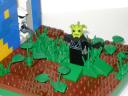 picture_915.jpg