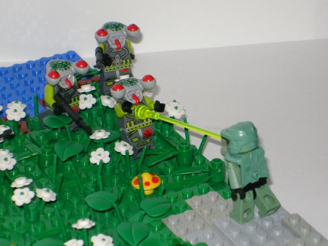 picture_157.jpg