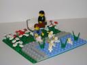 duckpond