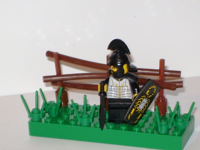 picture_935.jpg