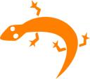 mygecko.jpg