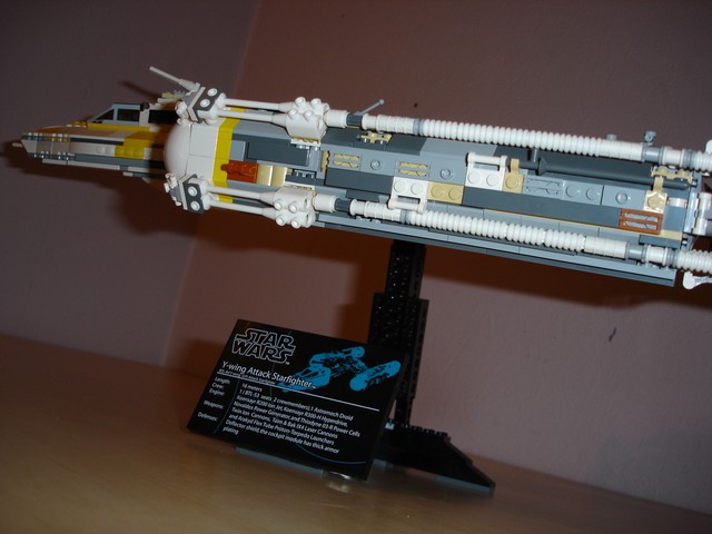 dsc01593.sized.jpg