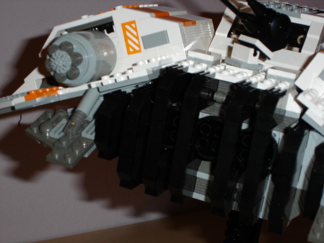 dsc01600.sized.jpg