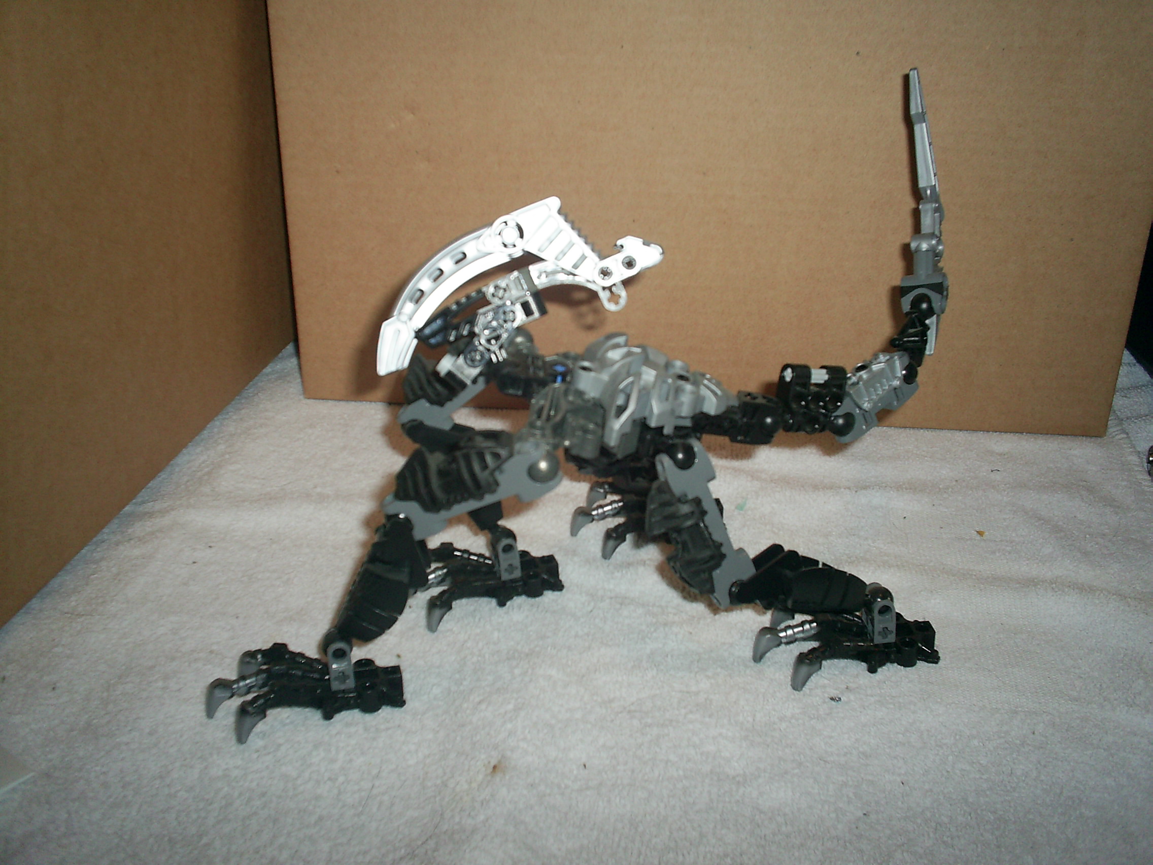 s4020383.jpg