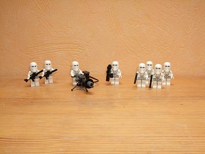 snowtrooper_complements_and_escort_squad.jpg