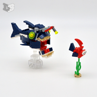 anglerfish3-small.jpg