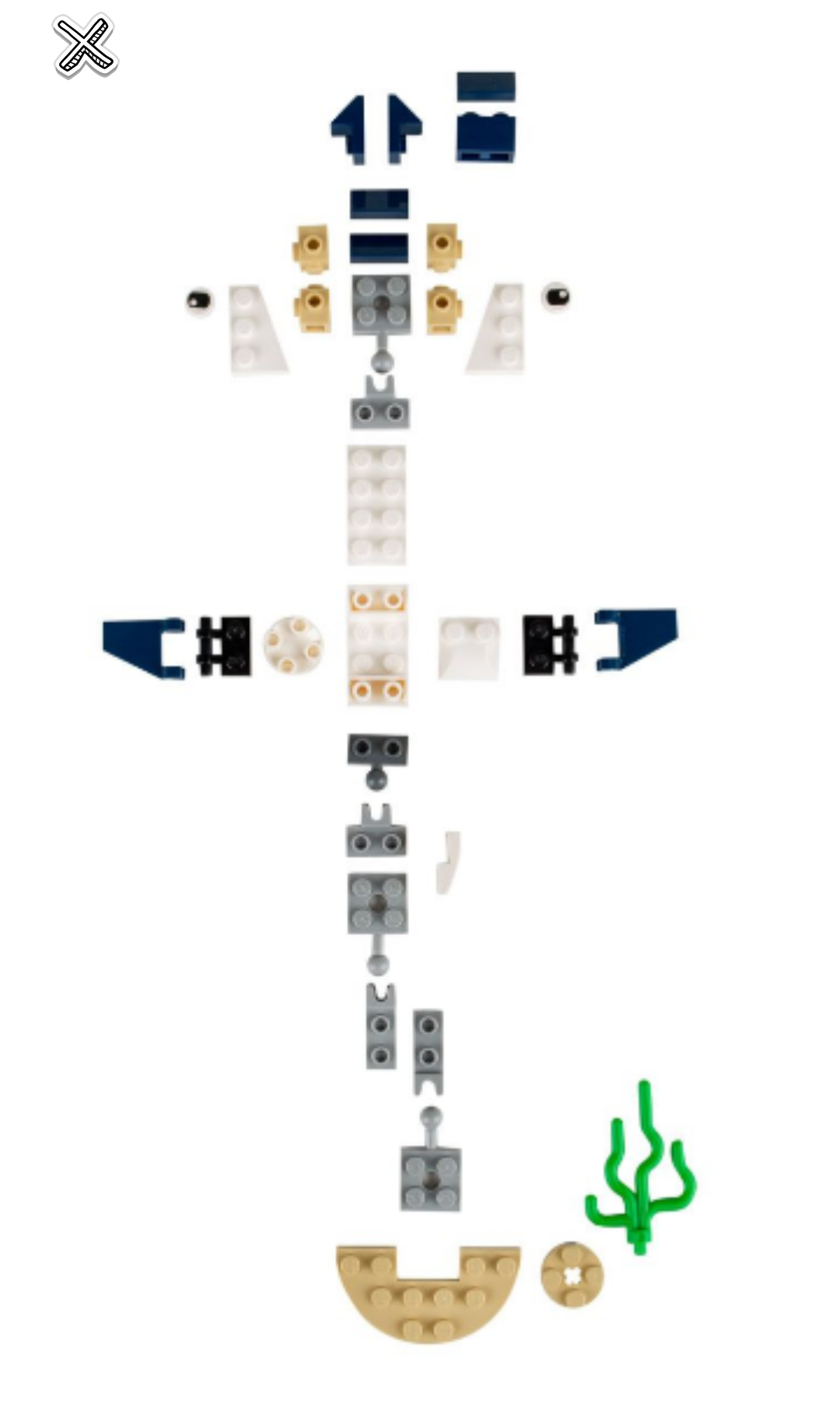 seahorse-instr.png