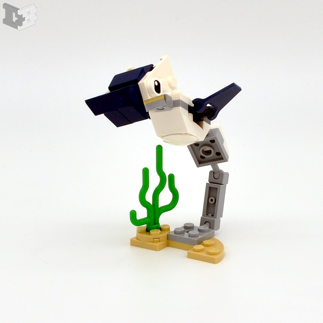 seahorse.jpg