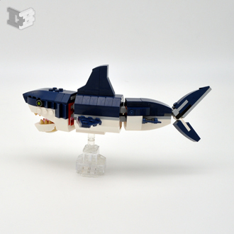 shark-small.jpg