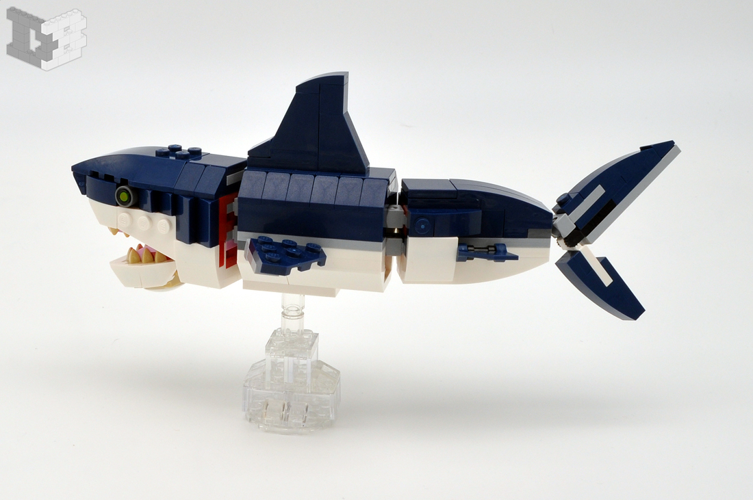 shark.jpg