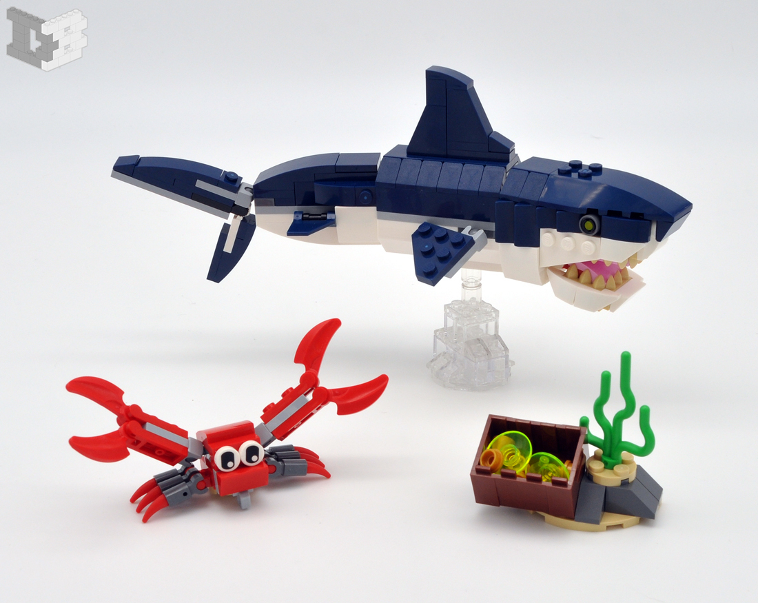 shark2.jpg