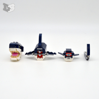 sharkparts-small.jpg