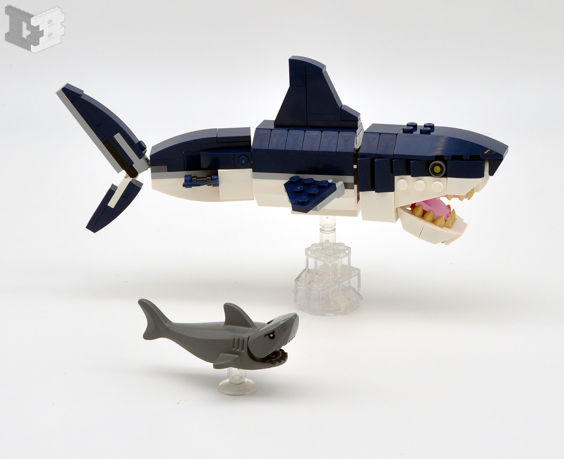 sharks.jpg