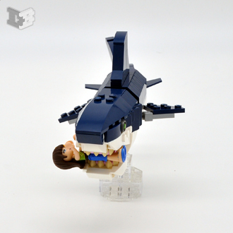 sharksize2-small.jpg