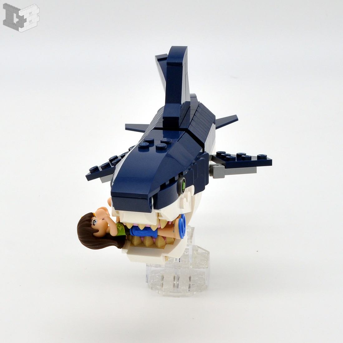 sharksize2.jpg
