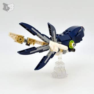 squid1-small.jpg