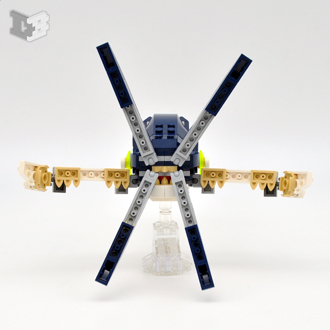 squid2-small.jpg