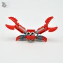 crabfront-small.jpg