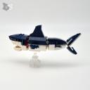 shark-small.jpg