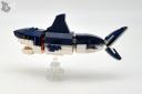 shark.jpg