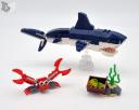 shark2.jpg