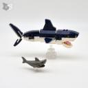 sharks-small.jpg