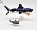 sharks.jpg