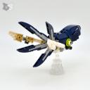 squid1-small.jpg