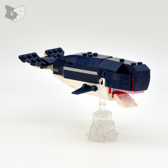 whale-small.jpg
