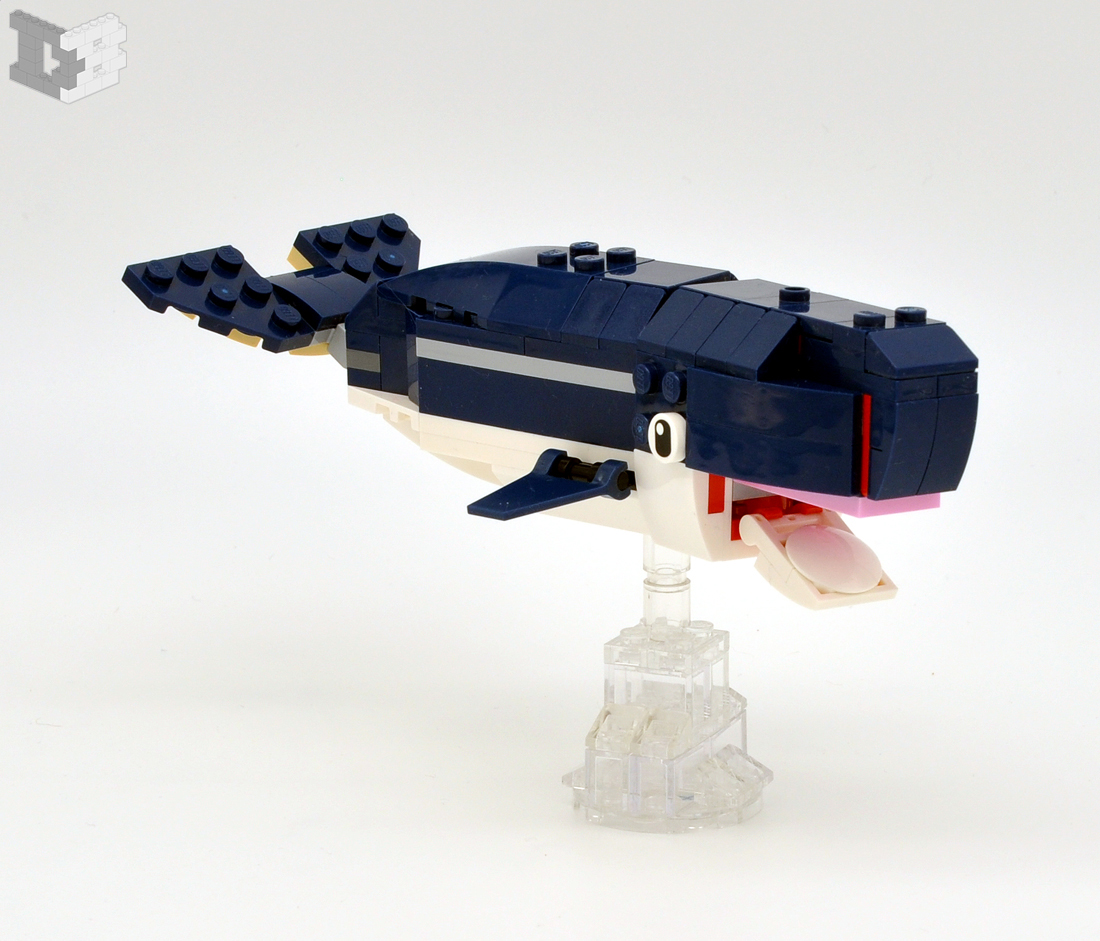 whale.jpg