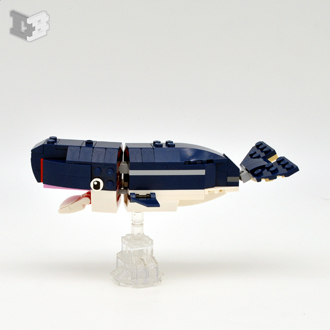 whale2-small.jpg