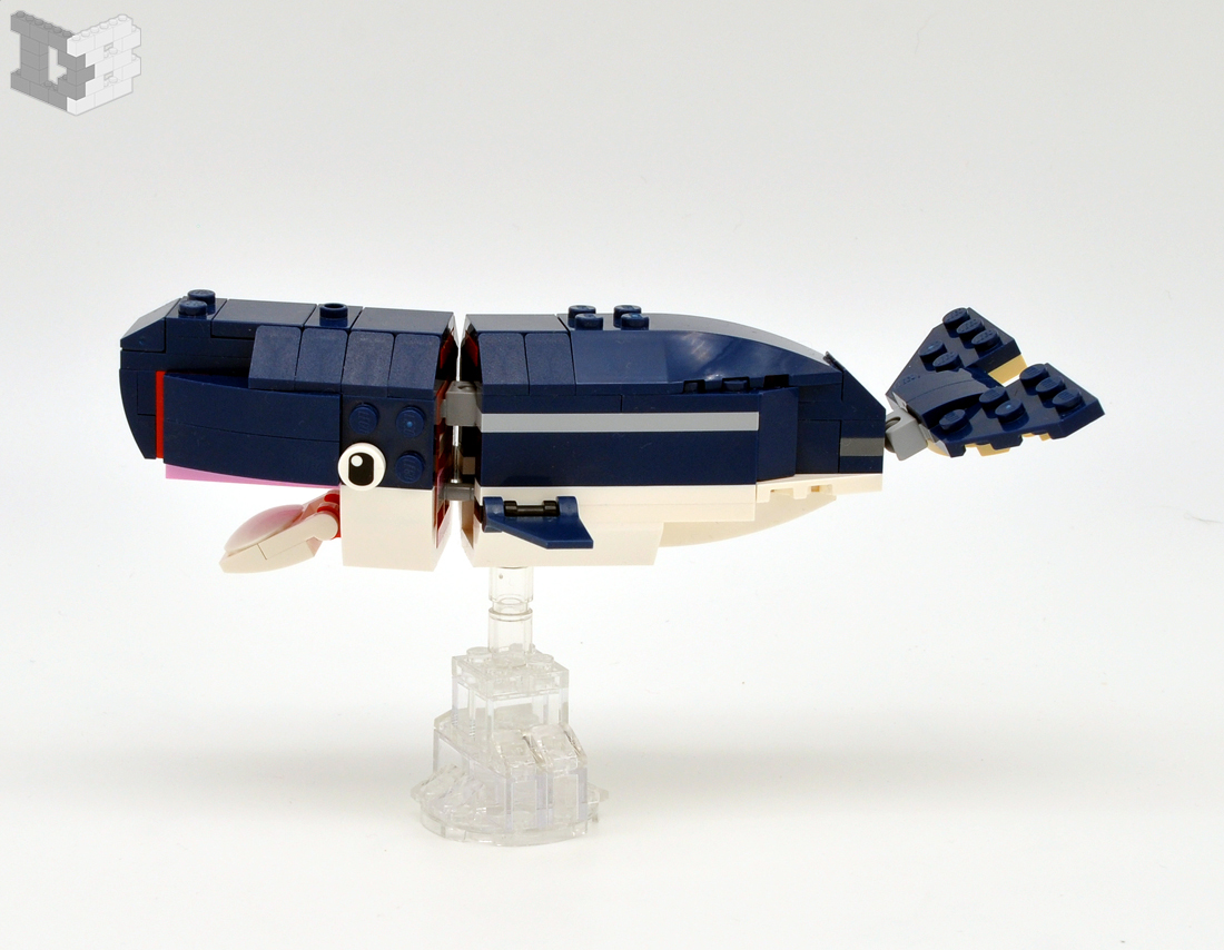 whale2.jpg