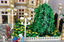 tree-2a.jpg