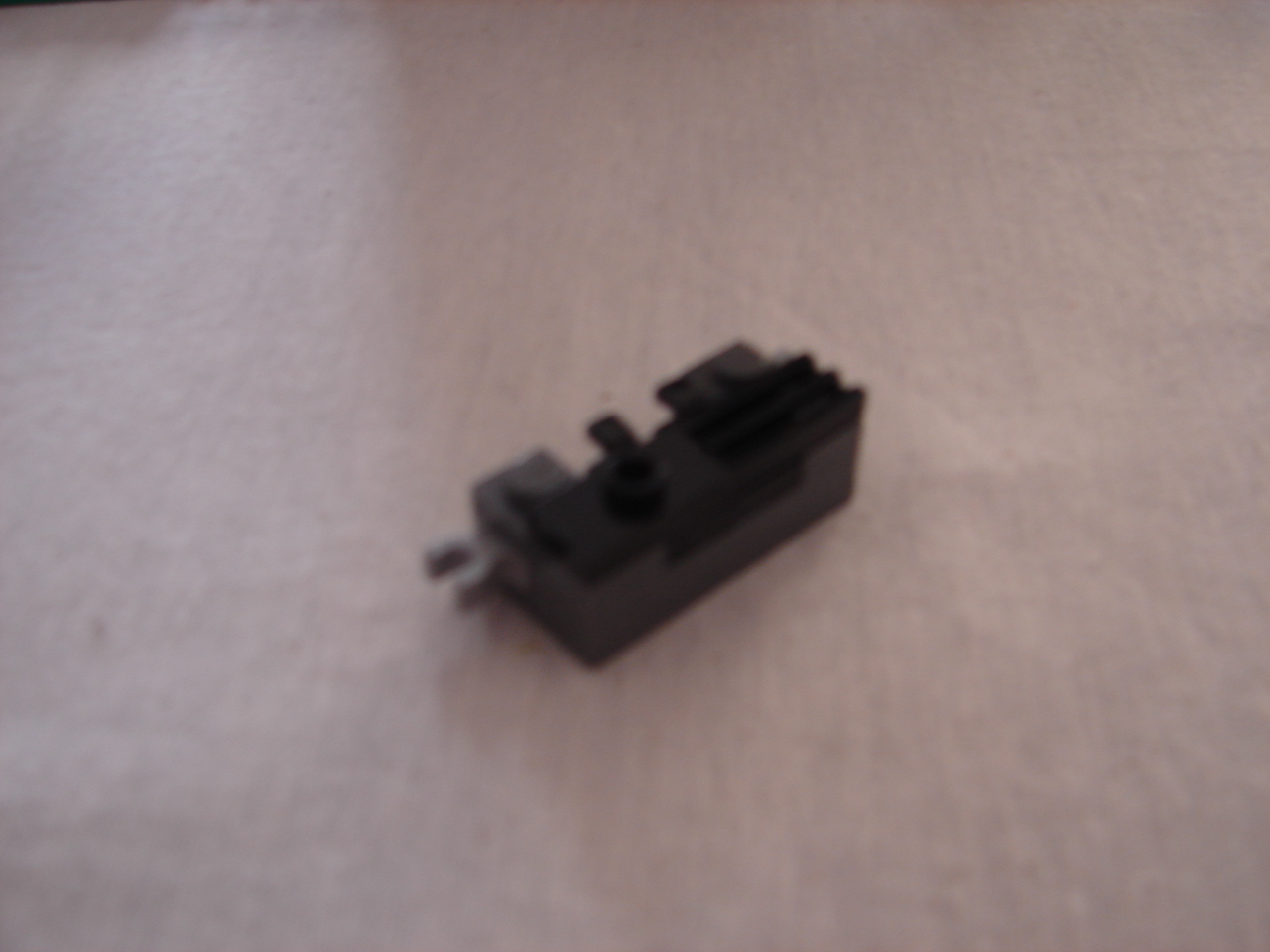 dsc05543.jpg