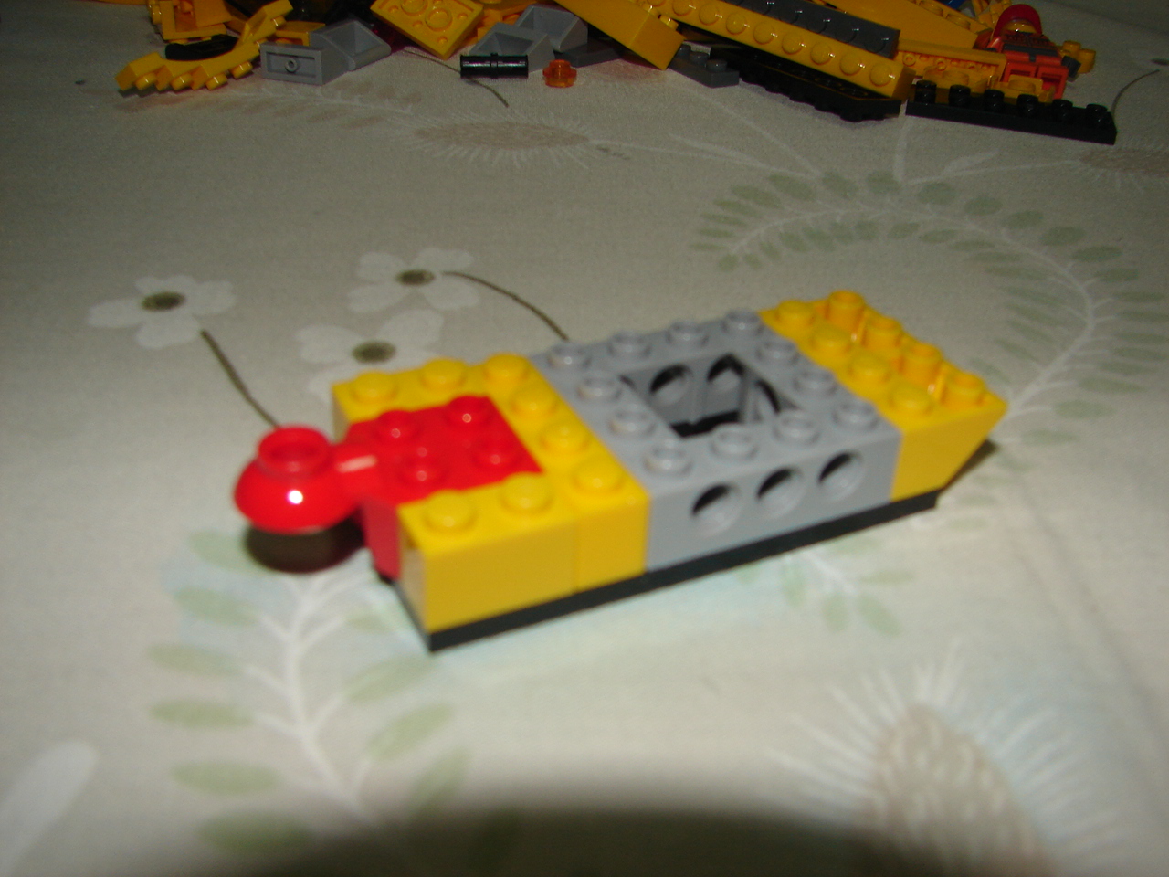 dsc05679.jpg
