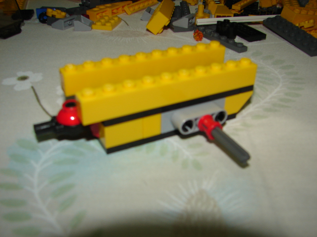 dsc05681.jpg