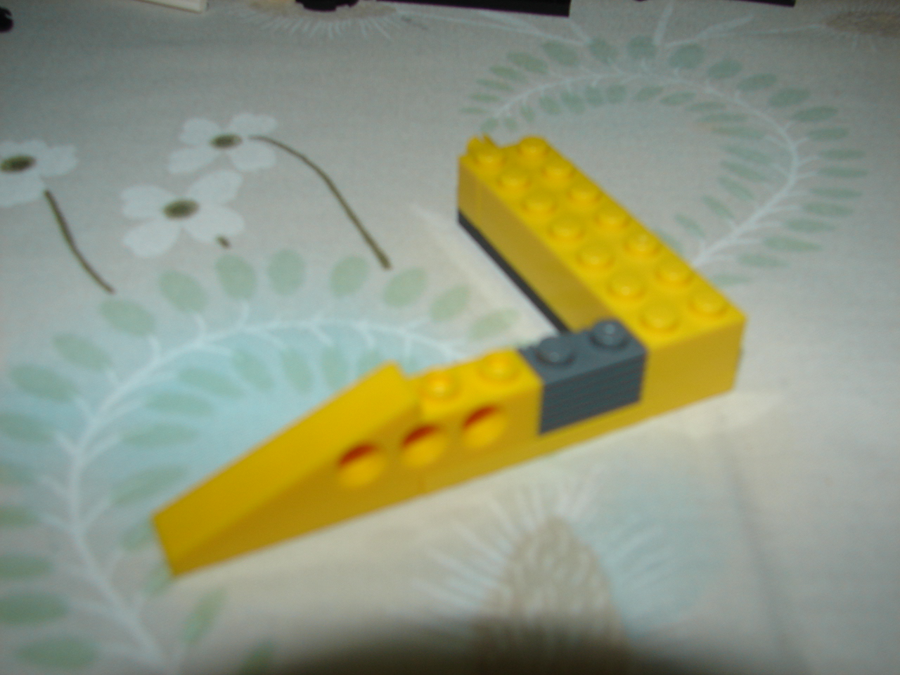 dsc05698.jpg