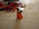 dsc05428.jpg