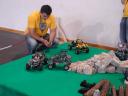 dsc05316.jpg