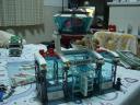 dsc05146.jpg