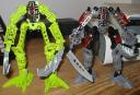animusanddolosus11big.jpg