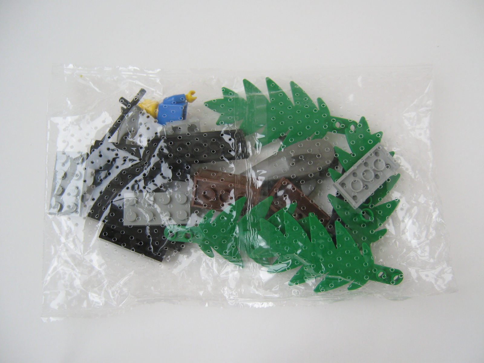 6258-3.jpg
