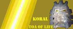 koral_banner3.jpg