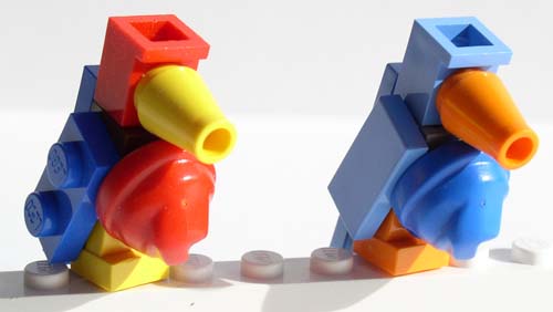 birds1.jpg