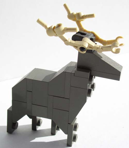 elk3.jpg