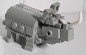 rhino1.jpg