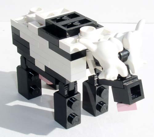 cow1.jpg
