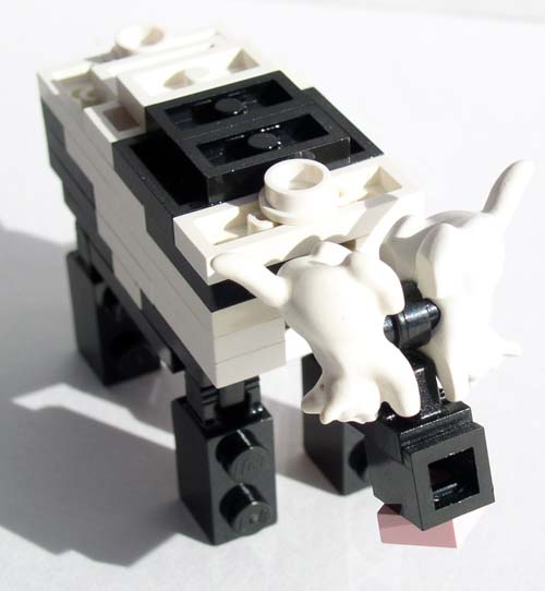 cow2.jpg