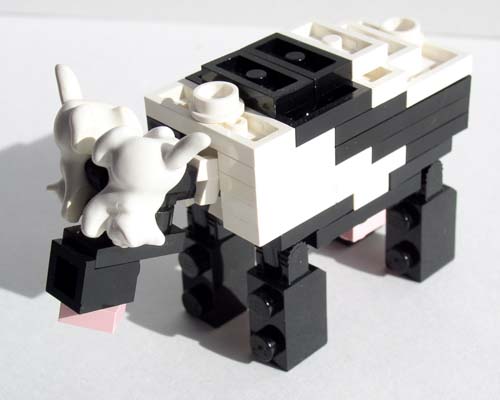 cow3.jpg